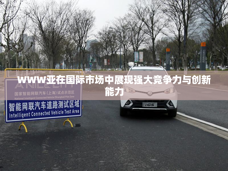 WWW亚在国际市场中展现强大竞争力与创新能力