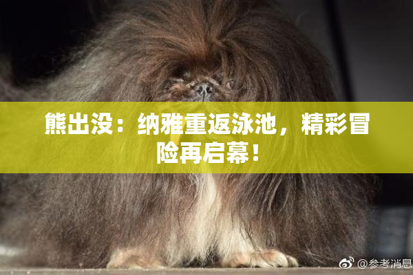 熊出没：纳雅重返泳池，精彩冒险再启幕！