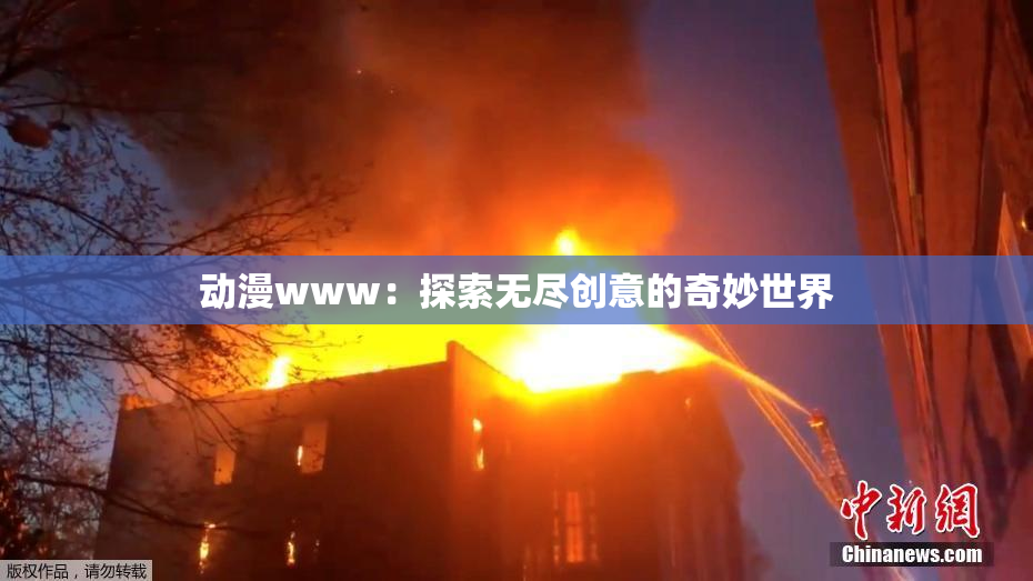 动漫www：探索无尽创意的奇妙世界