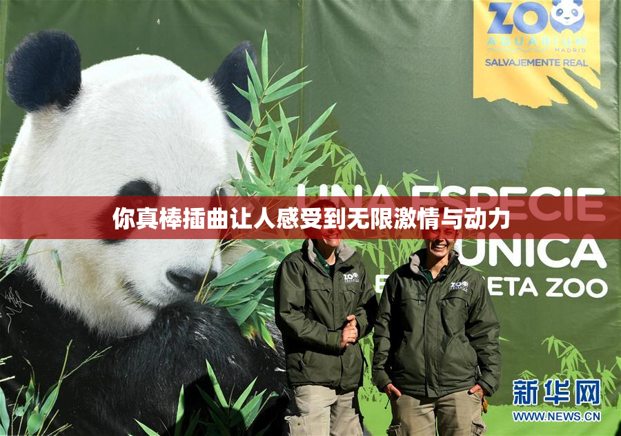 你真棒插曲让人感受到无限激情与动力