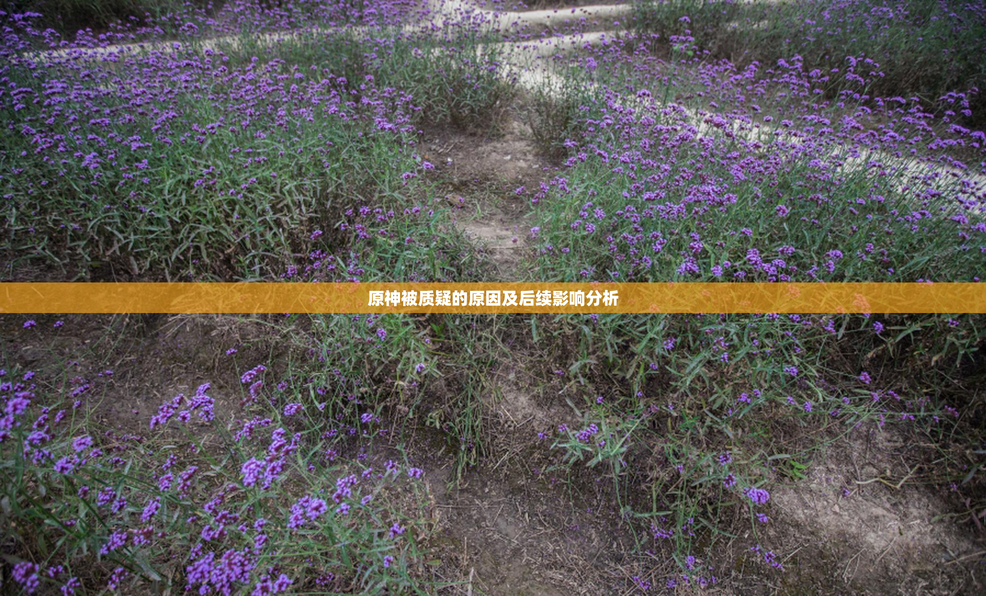 原神被质疑的原因及后续影响分析