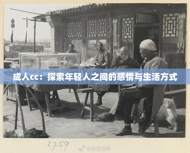 成人cc：探索年轻人之间的感情与生活方式