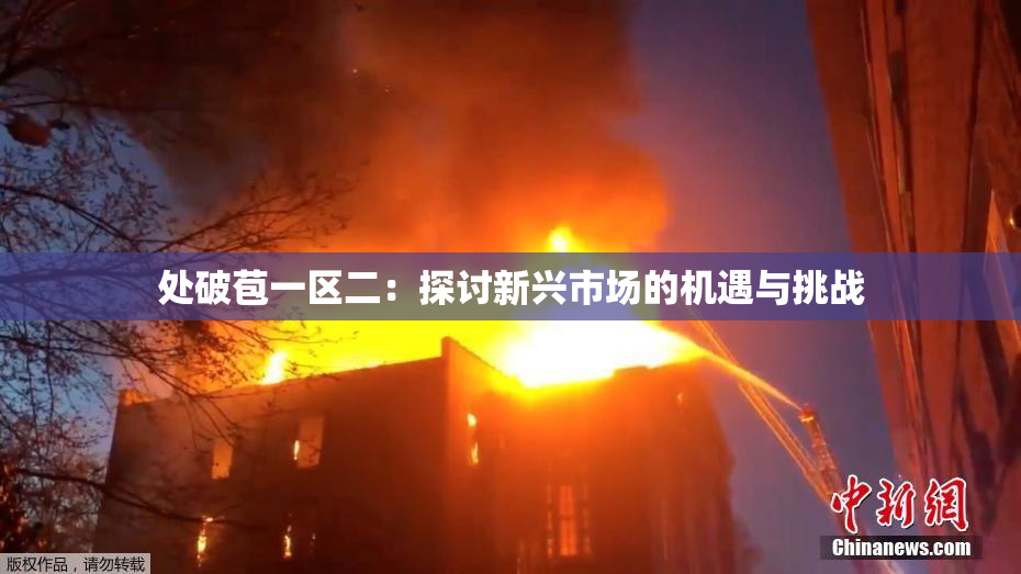 处破苞一区二：探讨新兴市场的机遇与挑战