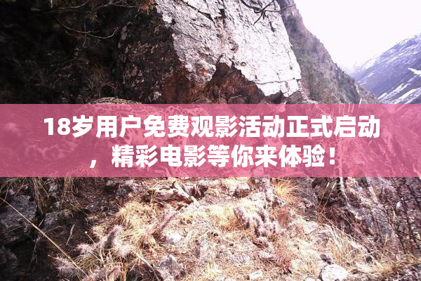 18岁用户免费观影活动正式启动，精彩电影等你来体验！