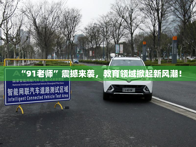 “91老师”震撼来袭，教育领域掀起新风潮！
