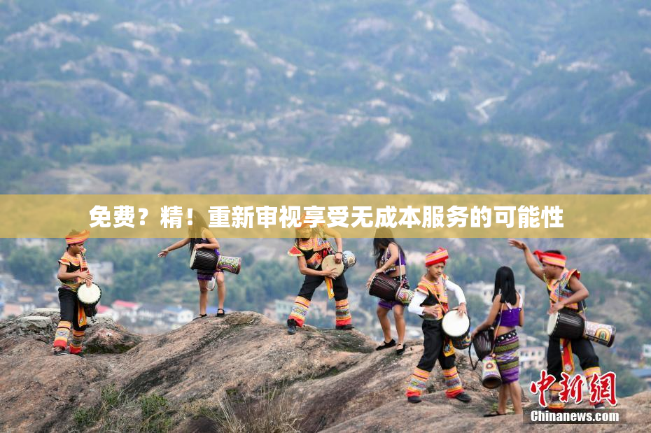 免费？精！重新审视享受无成本服务的可能性