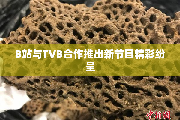 B站与TVB合作推出新节目精彩纷呈