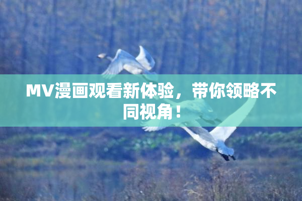 MV漫画观看新体验，带你领略不同视角！