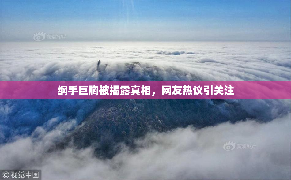 纲手巨胸被揭露真相，网友热议引关注