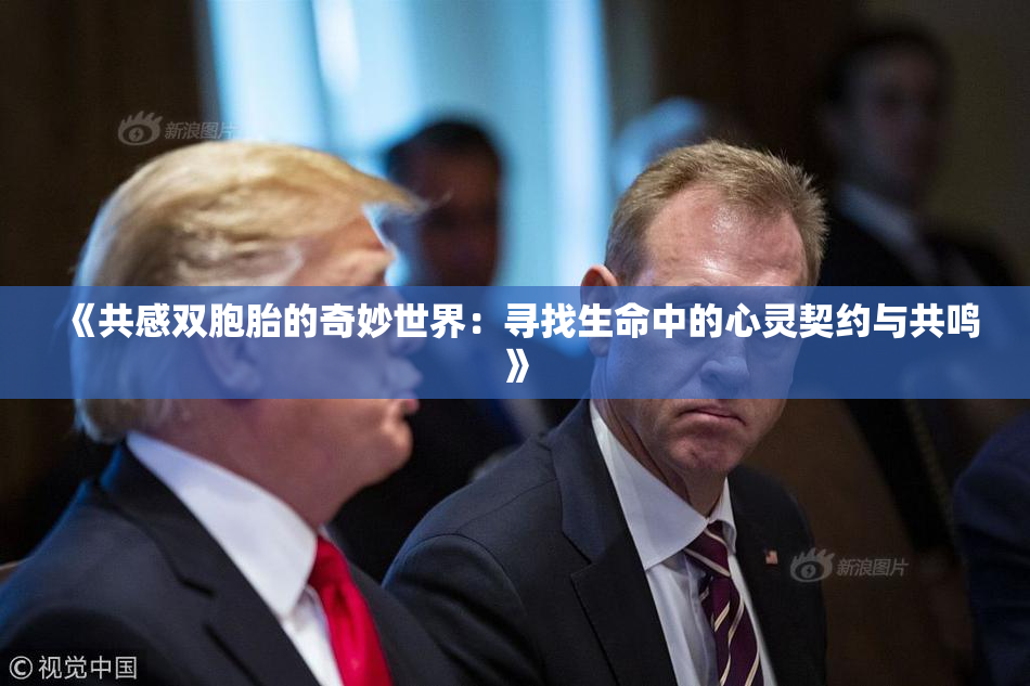 《共感双胞胎的奇妙世界：寻找生命中的心灵契约与共鸣》