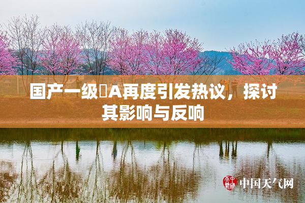 国产一级婬A再度引发热议，探讨其影响与反响