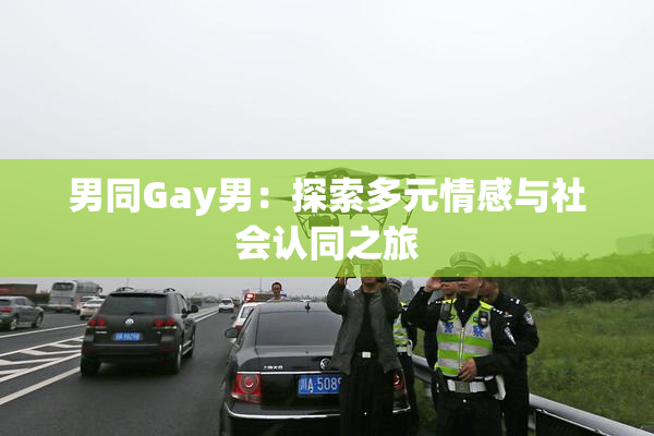 男同Gay男：探索多元情感与社会认同之旅