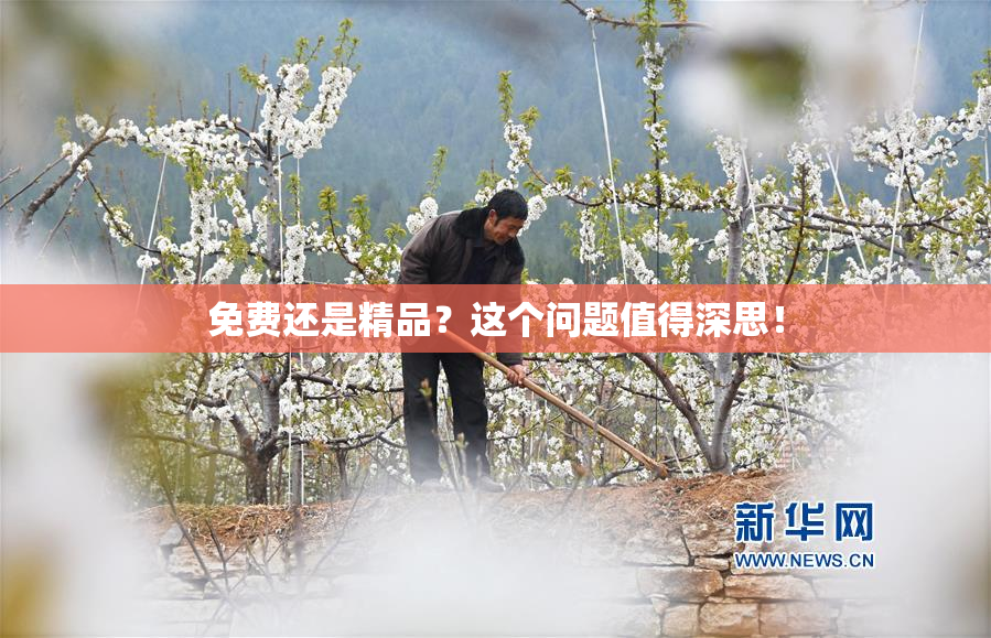 免费还是精品？这个问题值得深思！