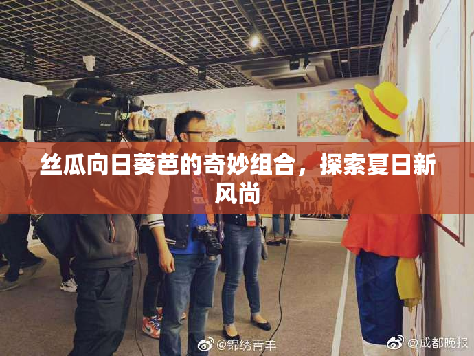 丝瓜向日葵芭的奇妙组合，探索夏日新风尚