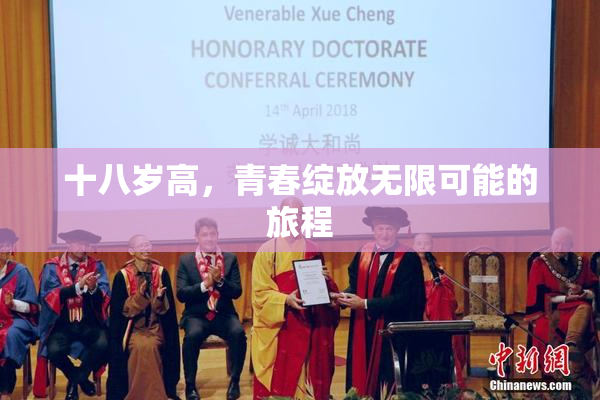 十八岁高，青春绽放无限可能的旅程