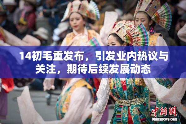 14初毛重发布，引发业内热议与关注，期待后续发展动态