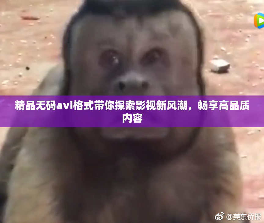 精品无码avi格式带你探索影视新风潮，畅享高品质内容