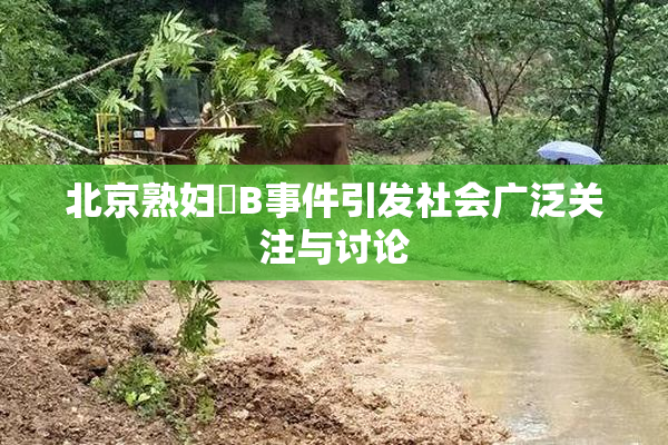 北京熟妇槡B事件引发社会广泛关注与讨论