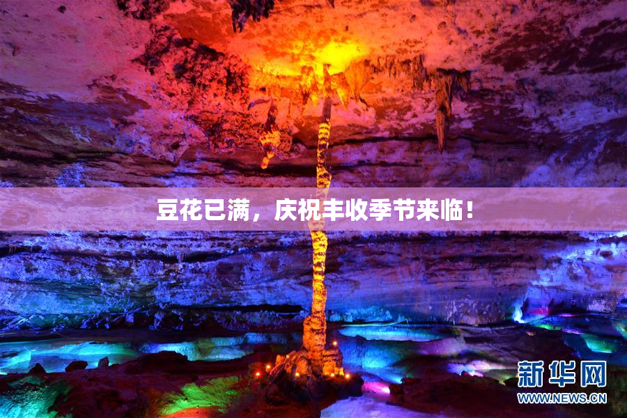 豆花已满，庆祝丰收季节来临！