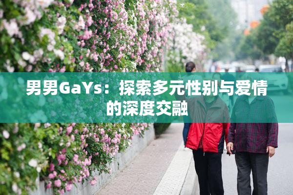 男男GaYs：探索多元性别与爱情的深度交融