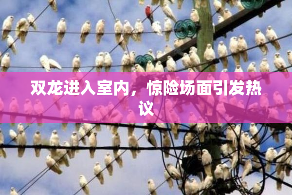双龙进入室内，惊险场面引发热议