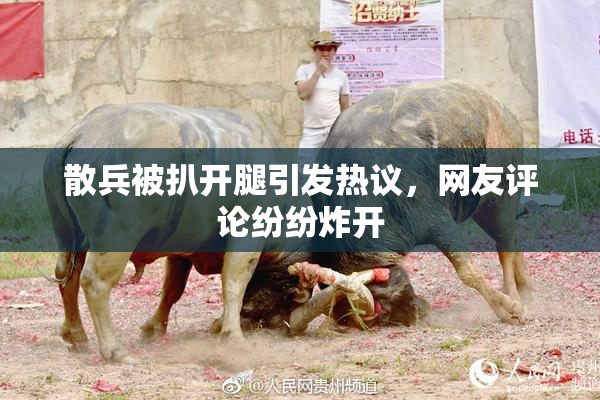 散兵被扒开腿引发热议，网友评论纷纷炸开