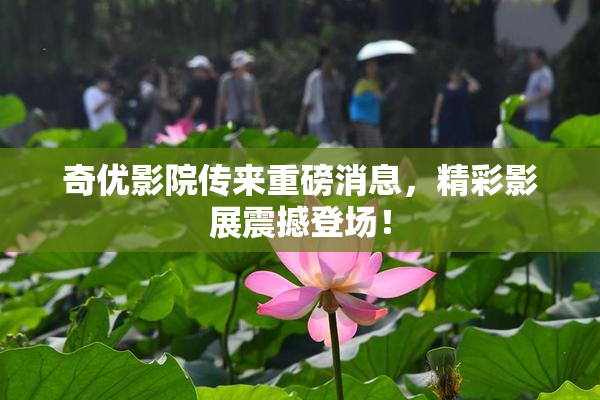 奇优影院传来重磅消息，精彩影展震撼登场！