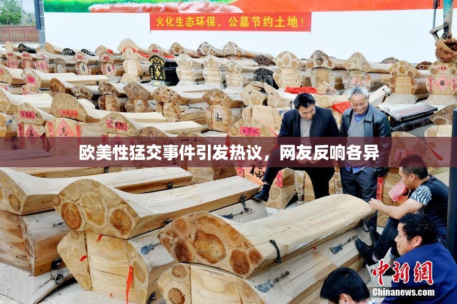 欧美性猛交事件引发热议，网友反响各异