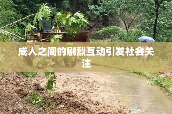 成人之间的剧烈互动引发社会关注