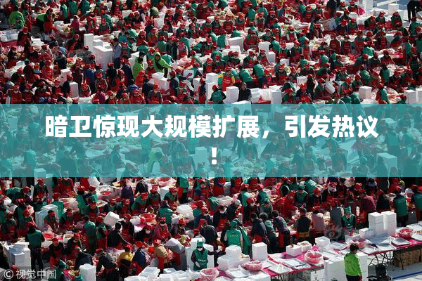 暗卫惊现大规模扩展，引发热议！