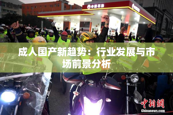成人国产新趋势：行业发展与市场前景分析