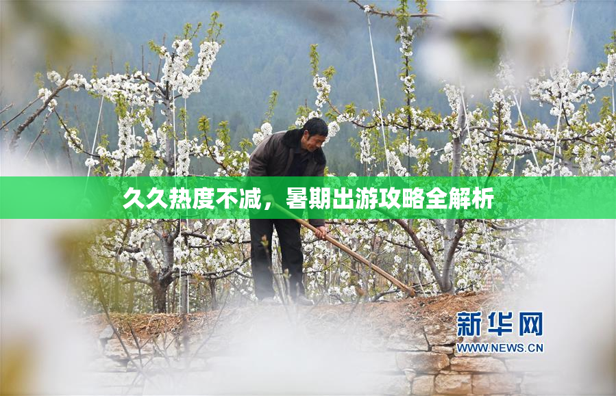 久久热度不减，暑期出游攻略全解析