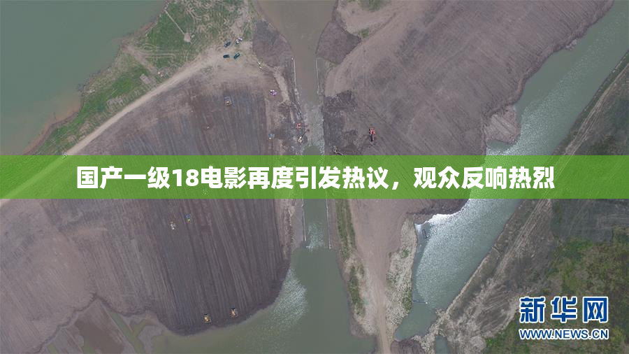 国产一级18电影再度引发热议，观众反响热烈