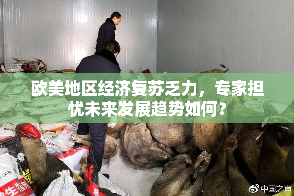欧美地区经济复苏乏力，专家担忧未来发展趋势如何？