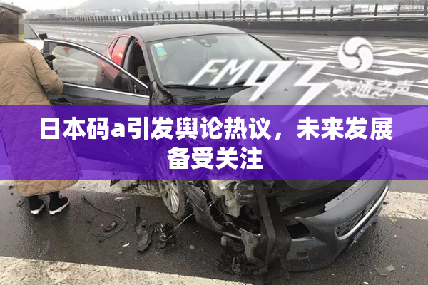 日本码a引发舆论热议，未来发展备受关注
