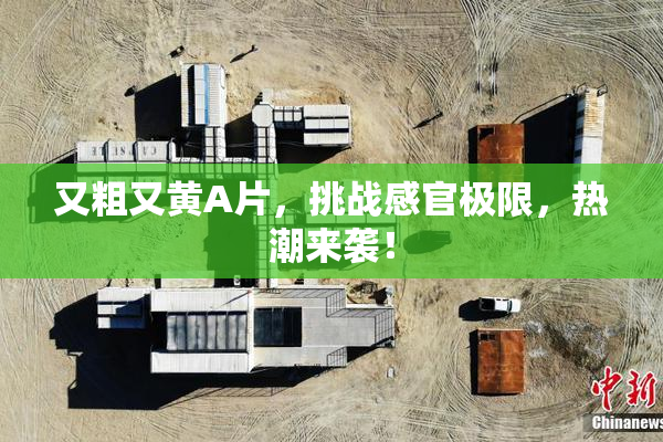 又粗又黄A片，挑战感官极限，热潮来袭！