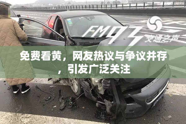 免费看黄，网友热议与争议并存，引发广泛关注