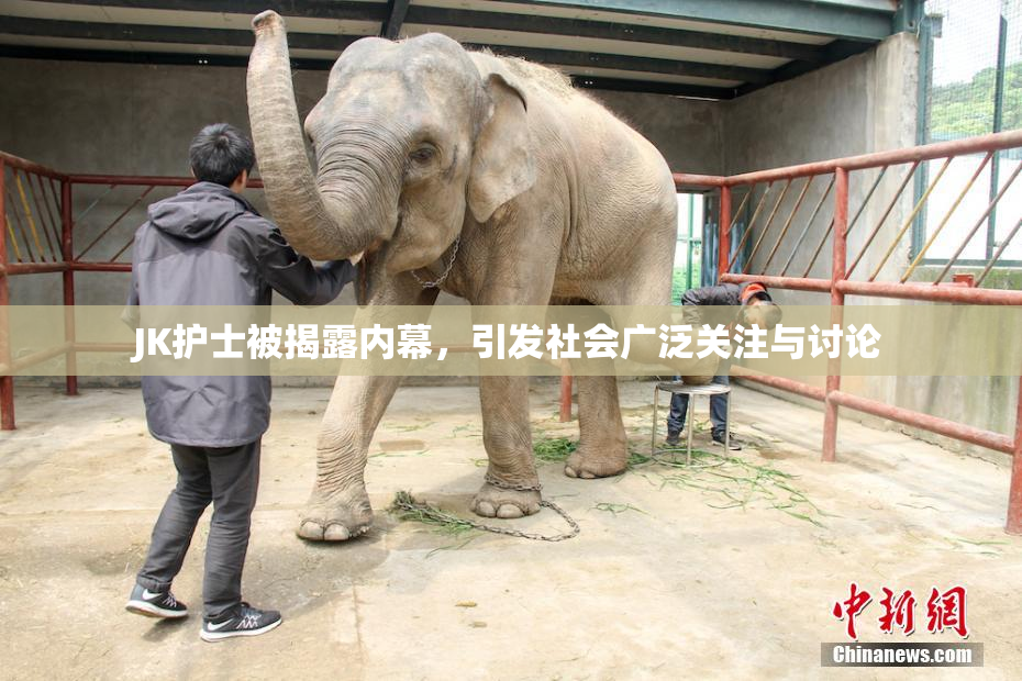 JK护士被揭露内幕，引发社会广泛关注与讨论