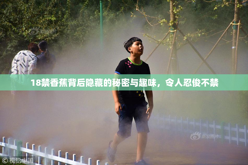 18禁香蕉背后隐藏的秘密与趣味，令人忍俊不禁