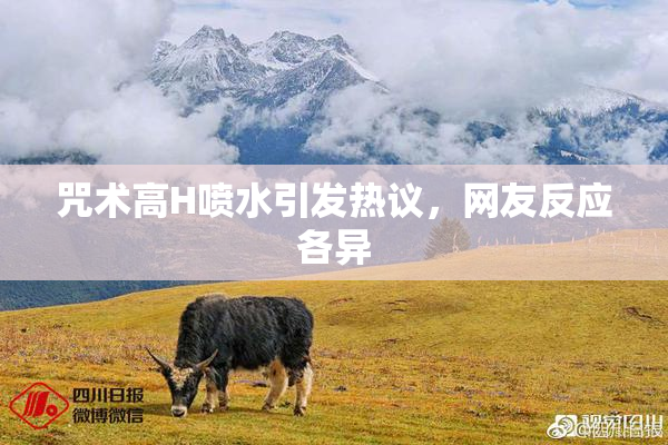 咒术高H喷水引发热议，网友反应各异