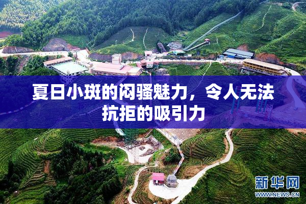 夏日小斑的闷骚魅力，令人无法抗拒的吸引力