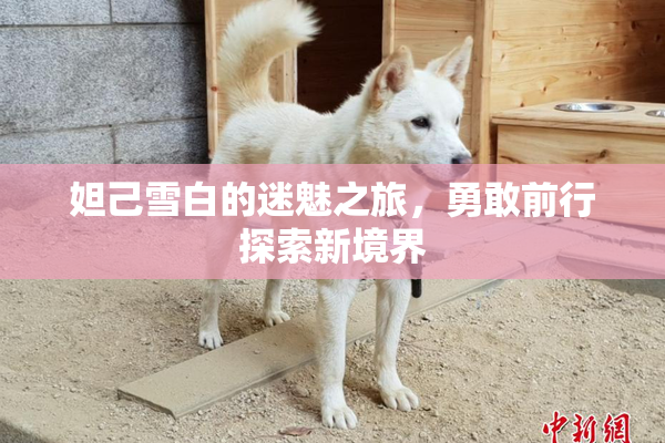 妲己雪白的迷魅之旅，勇敢前行探索新境界