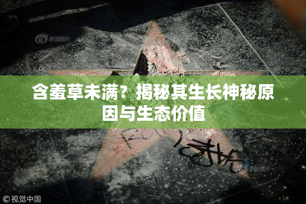 含羞草未满？揭秘其生长神秘原因与生态价值