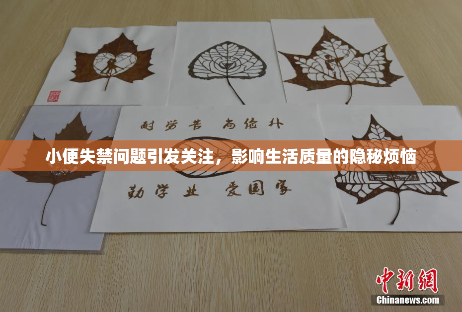 小便失禁问题引发关注，影响生活质量的隐秘烦恼