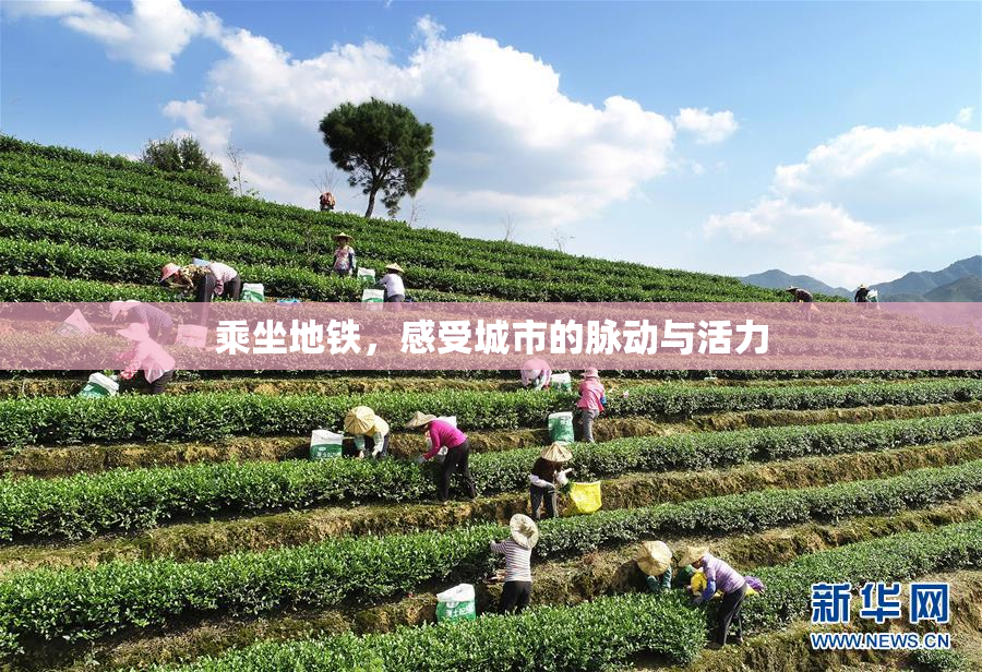 乘坐地铁，感受城市的脉动与活力