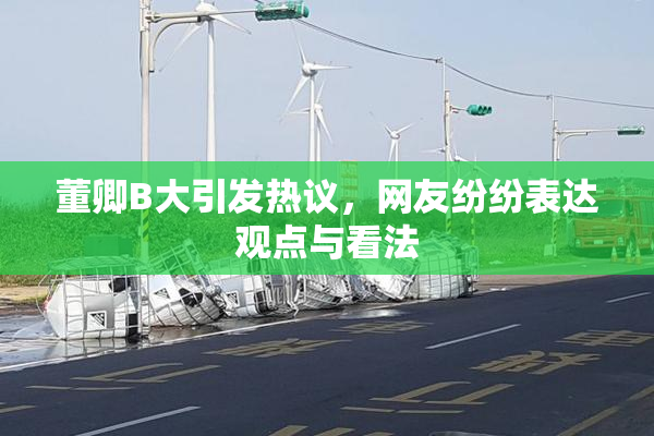 董卿B大引发热议，网友纷纷表达观点与看法
