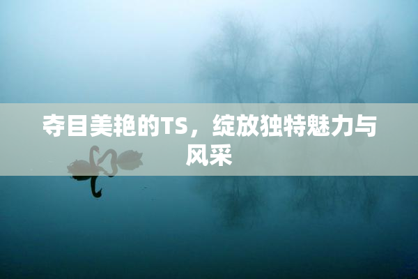 夺目美艳的TS，绽放独特魅力与风采
