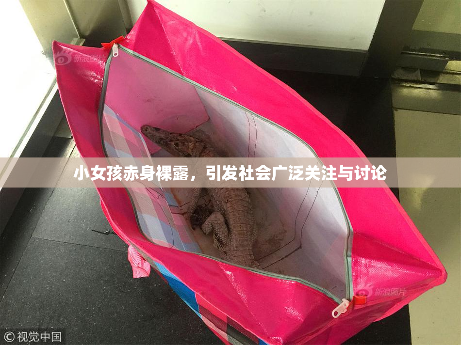 小女孩赤身裸露，引发社会广泛关注与讨论