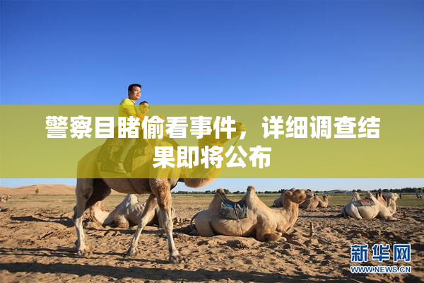 警察目睹偷看事件，详细调查结果即将公布