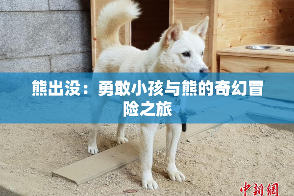 熊出没：勇敢小孩与熊的奇幻冒险之旅